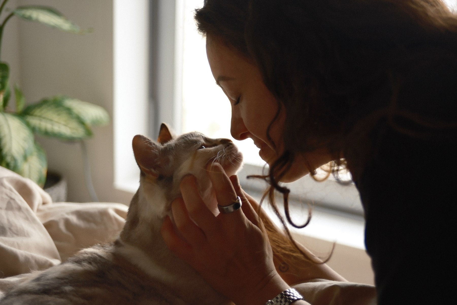 Bruna nose to nose with her cat in the soft light of a window
