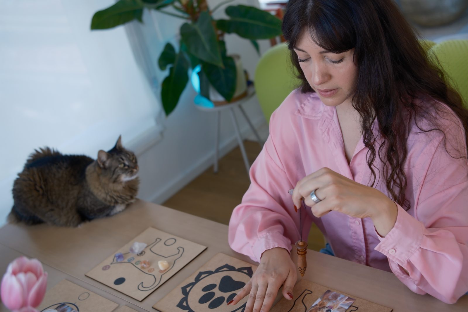 Chakra boards laid out with a dog photo at the center, between candles and books