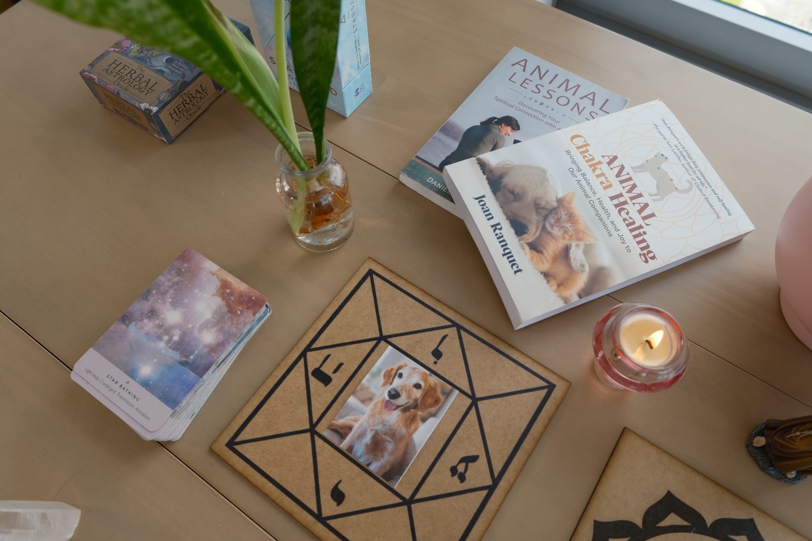 Bruna reading with the pendulum over a board with crystals, her cat beside her